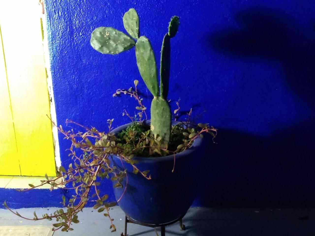 Lola Atlachinolli Sayulita Εξωτερικό φωτογραφία